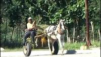 The Power of Community - How Cuba Survived Peak Oil
