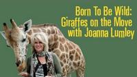 Born to Be Wild - Giraffes on the Move with Joanna Lumley