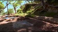 Europe - A Natural History - Taming the Wild