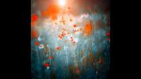 Nature's Journey