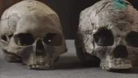 Paleoworld - Missing Links