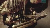 Paleoworld - Trail Of The Neanderthal