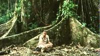 The Living Planet - Jungle