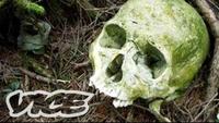 Aokigahara - Suicide Forest