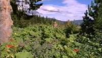 Farming with Nature