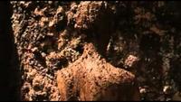 Ayurveda - Art of Being