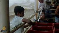 Risking It All - Brazil