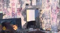 Witness - The Mayor of Mogadishu