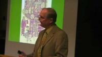 The Book of Kells - The Work of Angels?