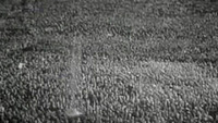 The Nazis - A Warning From History