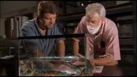 Evolutionary Arms Race