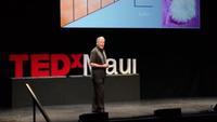 Gary Greenberg The beautiful nano details of our world