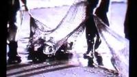 The Hurricane of '38
