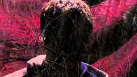 In The Shadow of Feeling