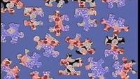 The Puzzle Of HIV
