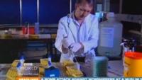 Homeopathy: The Test