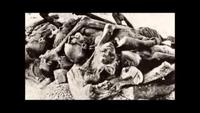 Racism - A History