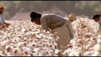 Slavery and the Making of America