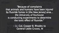Fluoride Deception