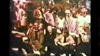 The Summer Of Love
