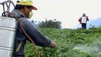 Dangers of Pesticides, Food Additives